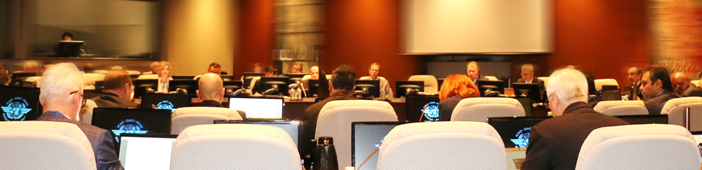Air Navigation Commission