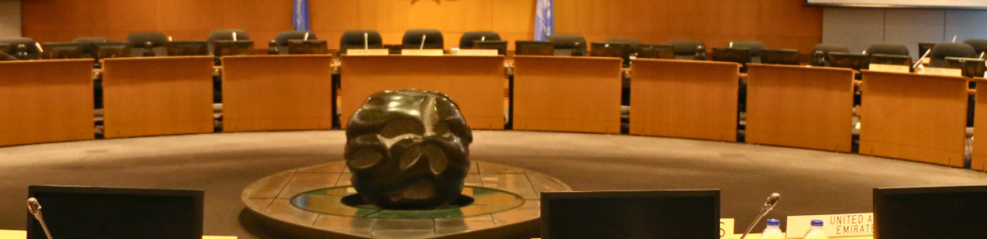 Council Overview
