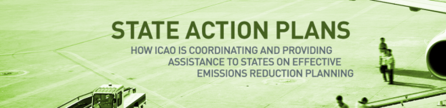 State Action Plan
