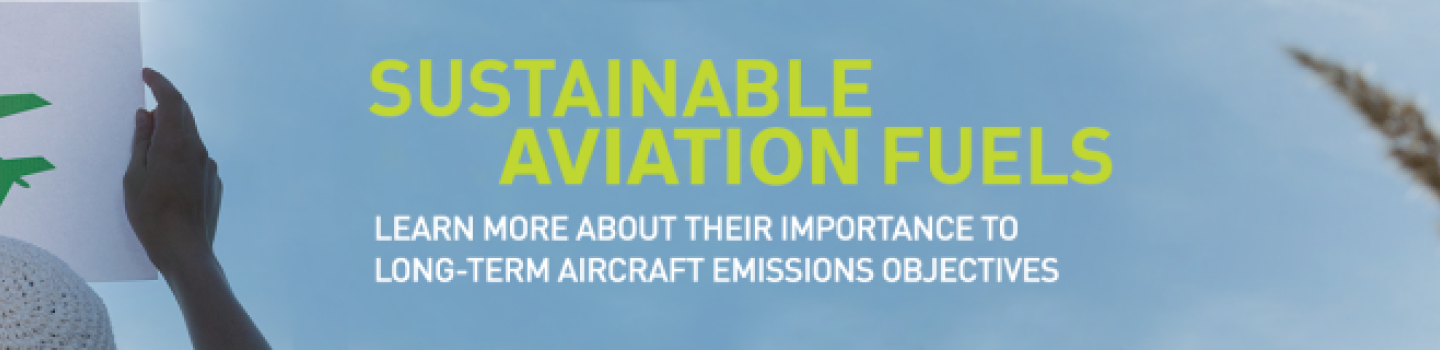 Sustainable Aviation Fuels